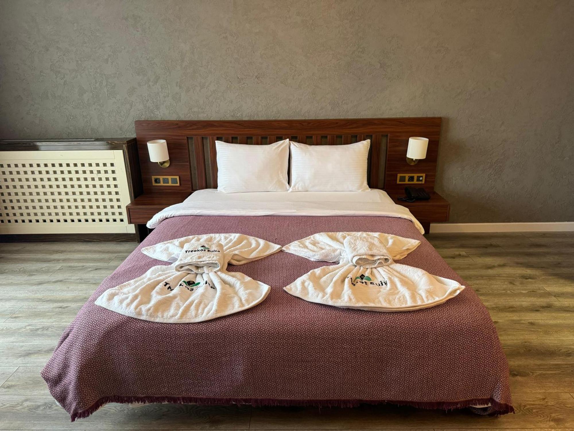 Istanbul Airport Treekos Suite Hotel Karaburun  外观 照片